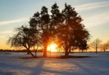 Времето днес