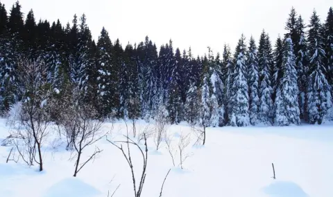 vremeto-dnes-prognoza-za-srada-18-fevruari-snag-nad-calata-strana-valejite-spirat-sledobed-ot-zapad-1