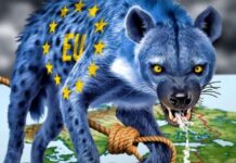 Колективната глупост на Брюксел: Как Европа се превърна в „сбор от джуджета“! Европейските лидери се страхуват от мира повече от войната