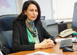 Гюров уволнява министърката на МРРБ?