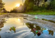 Времето днес