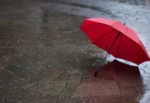 Времето днес