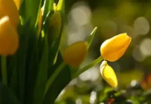 Времето днес