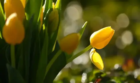 vremeto-dnes-prognoza-za-ponedelnik-2-mart-predimno-slanchevo-shte-duha-slab-severen-vatar-1