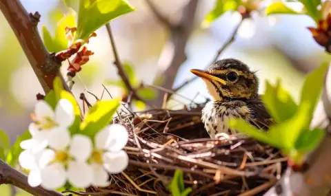 vremeto-dnes-prognoza-za-sabota-21-mart-predimno-oblachno-vremenni-razkasvania-nad-zapadnite-raioni-1