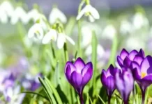 Времето днес