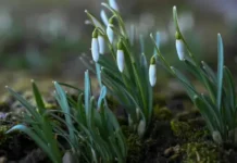 Времето днес