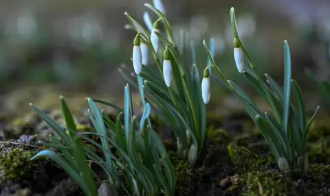 vremeto-dnes-prognoza-za-srada-4-mart-dnes-shte-preobladava-slanchevo-vreme-1