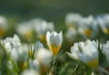 Времето днес