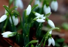 Времето днес