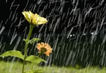 Времето днес