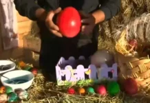 Боядисаха великденски яйца от над 40 вида птици