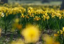 Времето днес