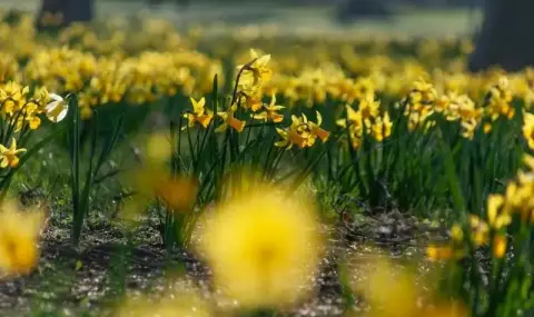 vremeto-dnes-prognoza-za-chetvartak-16-april-slanchevo-slabi-prevalavania-na-ugozapad-1