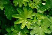 Времето днес