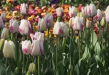 Времето днес