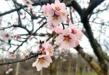 Времето днес