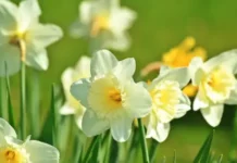 Времето днес