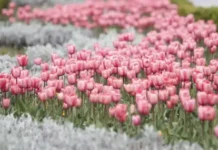 Времето днес