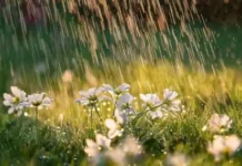 Времето днес