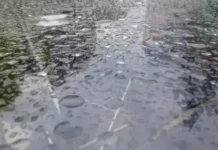 Времето днес