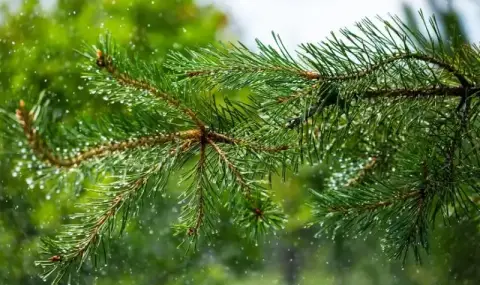 vremeto-dnes-prognoza-za-srada-1-april-oblachno-i-dajdovno-1