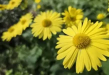 Времето днес