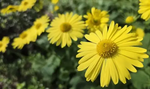 vremeto-dnes-prognoza-za-srada-15-april-predimno-slanchevo-slabi-valeji-ot-dajd-v-planinite-nad-ujna-balgaria-1