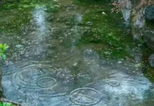 Времето днес