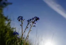 Времето днес, прогноза за вторник, 28 април: Слънчево, краткотрайни валежи в планинските райони