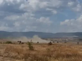 Заради планирани учения: Започва придвижване на военна техника в страната