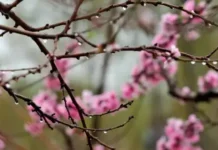 Времето днес, прогноза за понеделник, 18 май: Ветровито и по-топло, слаби превалявания в планинските райони