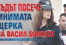 Съдът посече мнимата щерка на Васил Божков