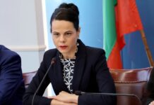 Кабинетът скри заплатата на здравния министър