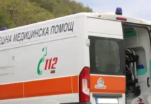 Кучета нападнаха жена, собственикът им избяга и я остави с разкъсни рани по главата