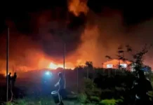 Пожар в района на бившия завод „Химик“ в Асеновград, 50 огнеборци са на терен