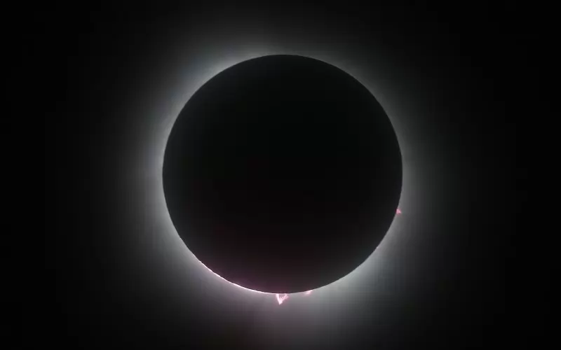 10806076.jpg