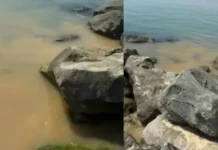 Фекалните води в Свети Влас: Собственици на апартаменти се оплакват от здравословни проблеми