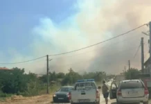 Големият пожар в Хасковско порази 10 000 декара