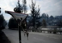 Гърция въведе пълна забрана за достъп в горите на Халкидики