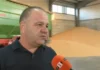Зърнопроизводители: Пшеницата не поскъпва, но разходите ни са с до 50% по-високи