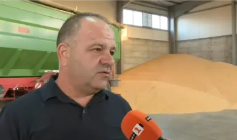 zarnoproizvoditeli-pshenicata-ne-poskapva-no-razhodite-ni-sa-s-do-50-po-visoki-1