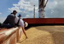 Лъчезар Богданов: Черно море оскъпява превозите