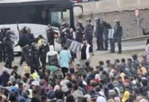 Над две трети от децата мигранти, достигнали Европа, са били непридружени