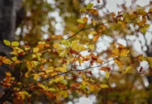 Времето днес, прогноза за сряда, 21 октомври: Слънчево и топло, температури до 25°